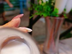 -探窝·竹笙椰子鸡(杨箕店)