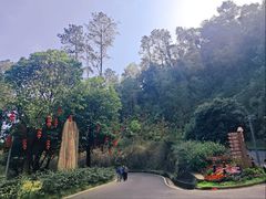 -白云山风景名胜区