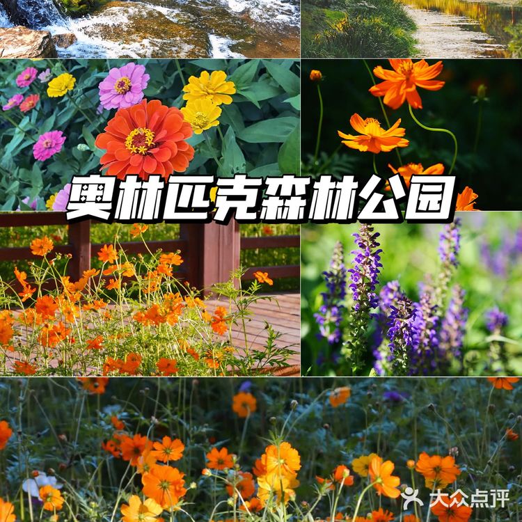 北京花海🌺金秋十月赏花攻略㊙️