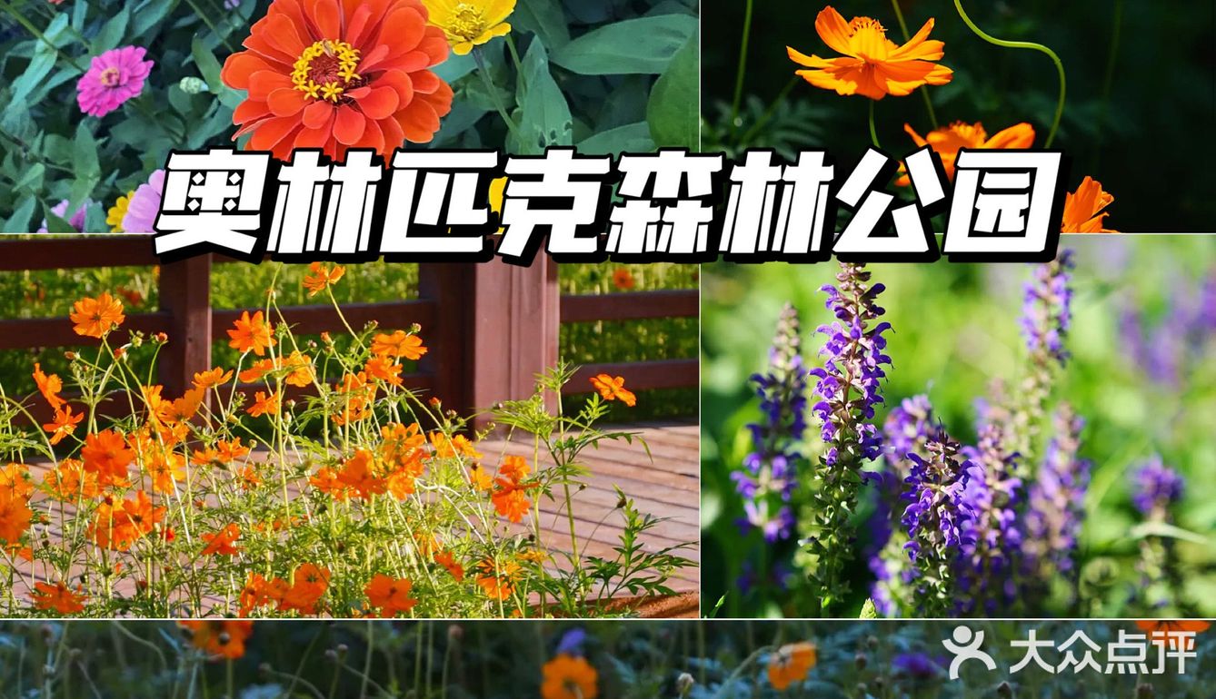 北京花海🌺金秋十月赏花攻略㊙️