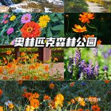 北京花海🌺金秋十月赏花攻略㊙️
