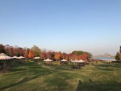 -南京枫彩漫城