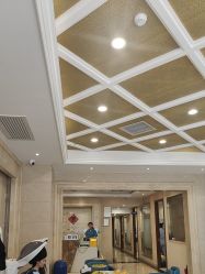 -碧莲盛·不剃发植发