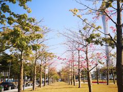 -二沙岛艺术公园