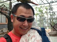 -西霞口神雕山野生动物世界