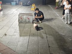 -门城湖公园