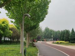 -武清南湖绿博园