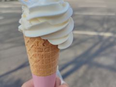-萨朗刀克冰淇淋雪花凉(植物园店)