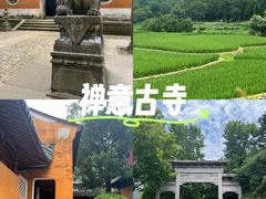 -天台小吃(新城店)