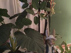 -Thai Basil罗勒叶泰式餐厅(时代天街店)