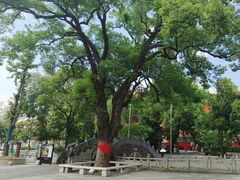 -宝通禅寺