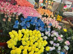 -越秀西湖花市(广州城市广场花卉店)