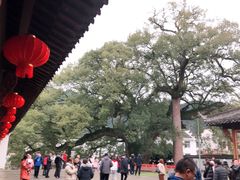 -新安江山水画廊风景区