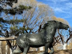 -元大都城垣遗址公园