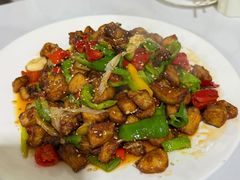 -煲来饱去冷水鱼