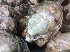 -邹记·美食(斗门店)