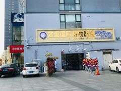 -宠爱国际动物医院·疑难骨科·心肾内科·皮肤科(太阳宫店)