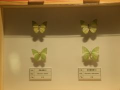 -四川宋瓷博物馆