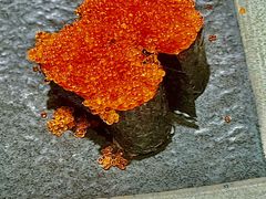 -沼津港精致料理·寿喜烧·烧鸟(漕河泾印象城店)