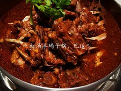 -浩爷羊蝎子火锅(望京店)