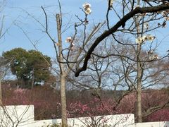 -无锡梅园公园