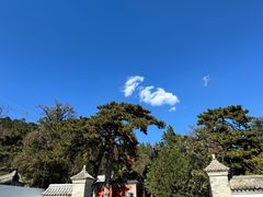 -阳台山自然风景区