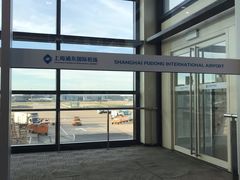 -上海浦东国际机场-T2航站楼