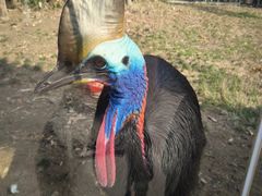 -武汉动物园