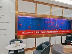 -牙博士口腔品牌连锁(杨浦店)