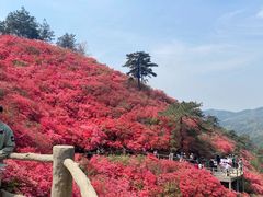 -木兰云雾山