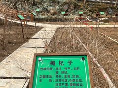 -封龙山风景区