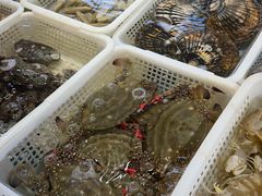 -金沙滩海鲜餐厅·海肠捞饭·手工水饺·无预制菜(梅江龙水园店)