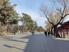 -长春市南湖公园