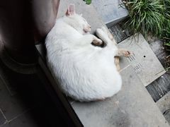 -太平天国历史博物馆(瞻园)