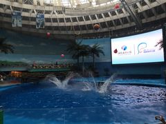 -海合安成都极地海洋公园