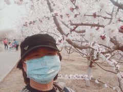 -永定河休闲森林公园