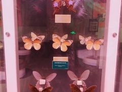 -陕西自然博物馆