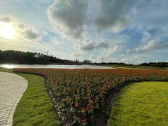 -上海崇明金茂凯悦酒店