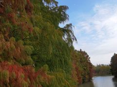 -上海海湾国家森林公园