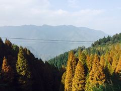 -良木缘咖啡西餐(川大店)