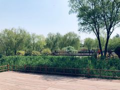 -燕郊植物园
