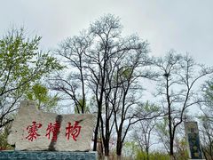 -抱犊寨风景区