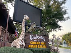 -清迈夜间动物园