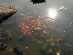 -北京雁栖湖国际会展中心