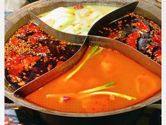 -白乐天毛肚火锅馆(南滨路店)