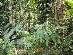 -郑州植物园
