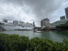 -润园四季椰子鸡火锅(海上世界店)