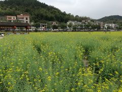 -红山村