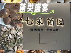 -七采菌园·野生菌石锅鱼(环城北路店)