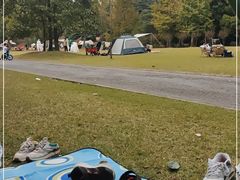 -上海滨江森林公园
